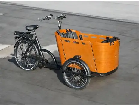 Pro Plus Woodie Bike - 